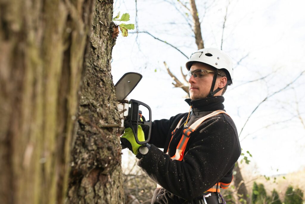 Arborist-Certified