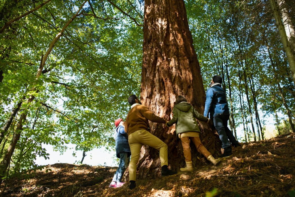 Tree Check-Up