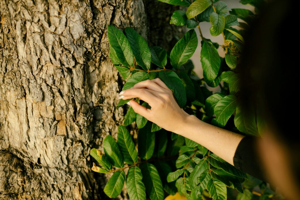 tree care