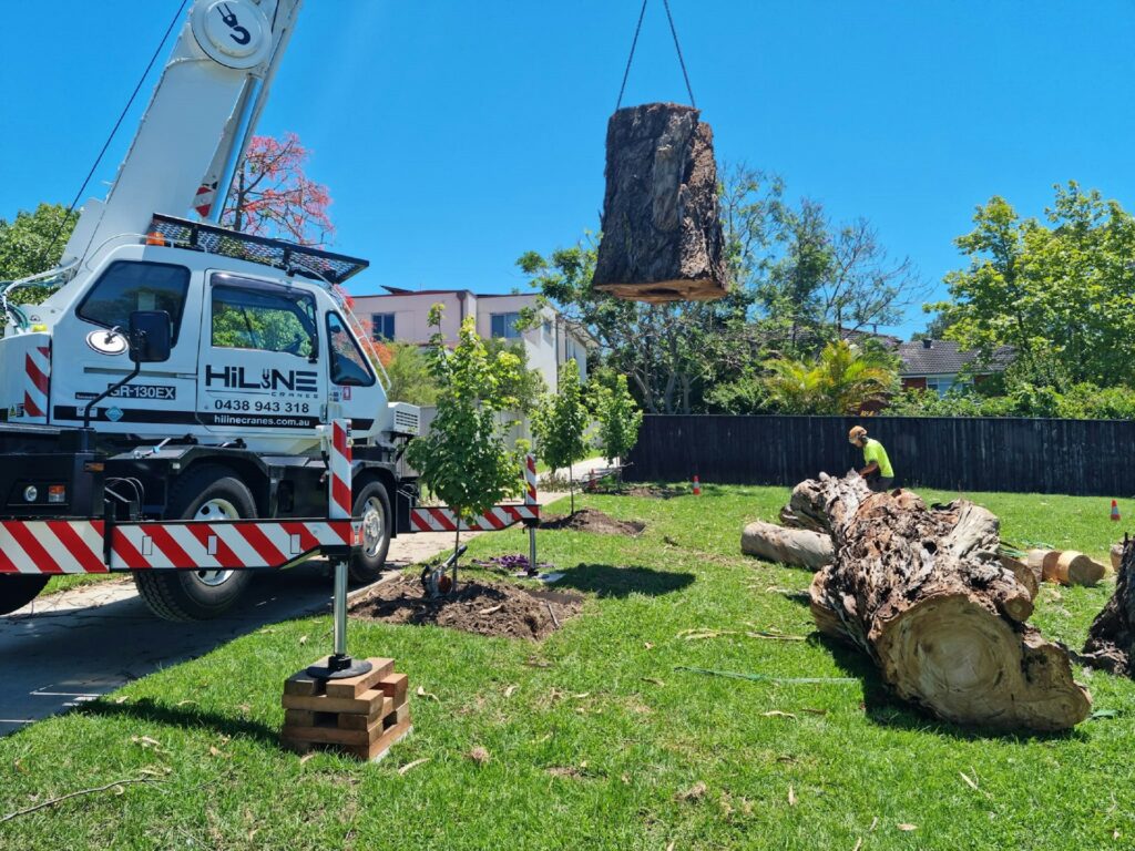 Tree Services