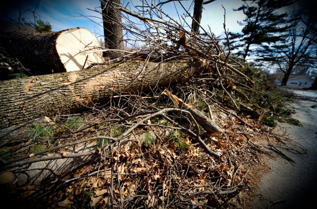 Yard Debris